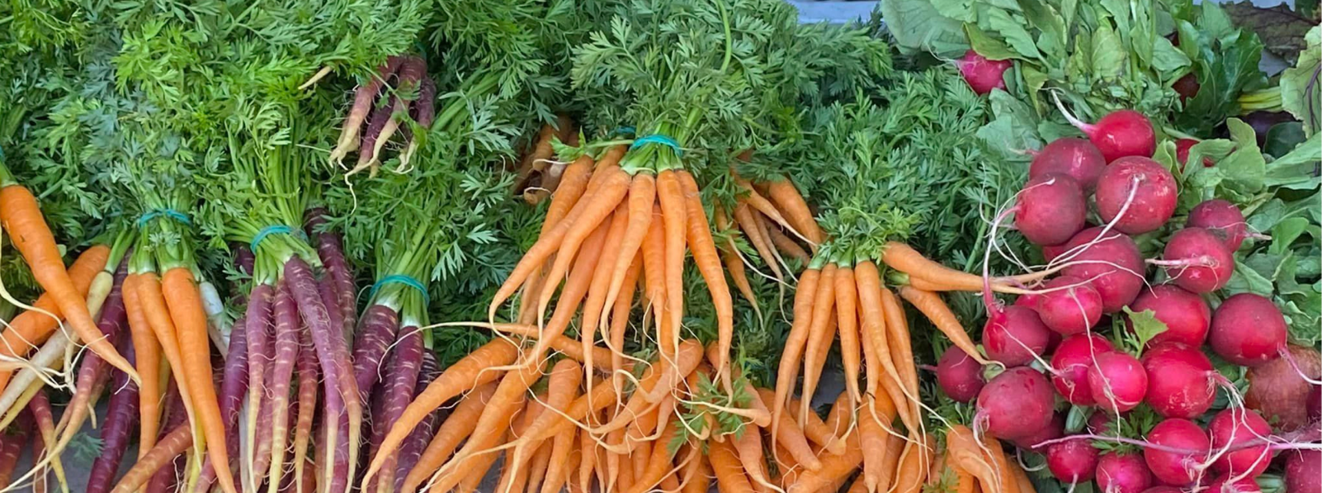 Perth Farmers Market Guide