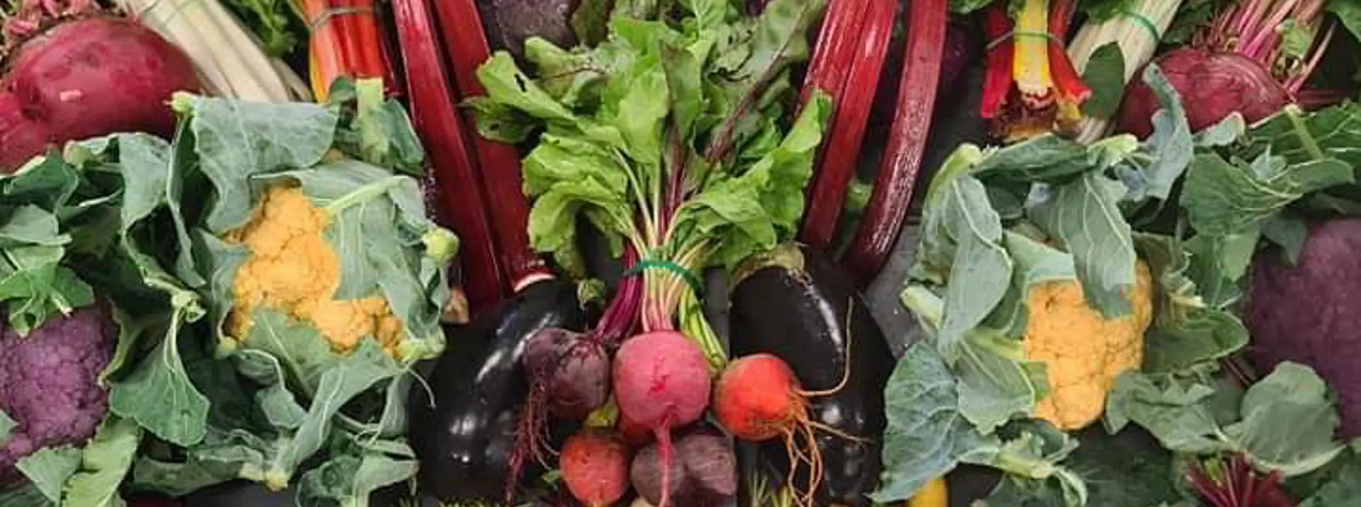 Perth Farmers Market Guide