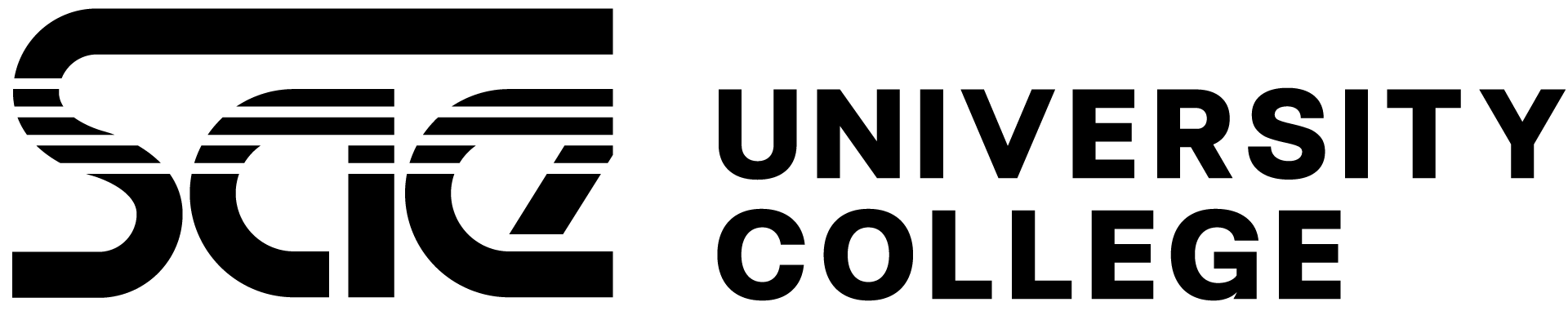 SAE University College