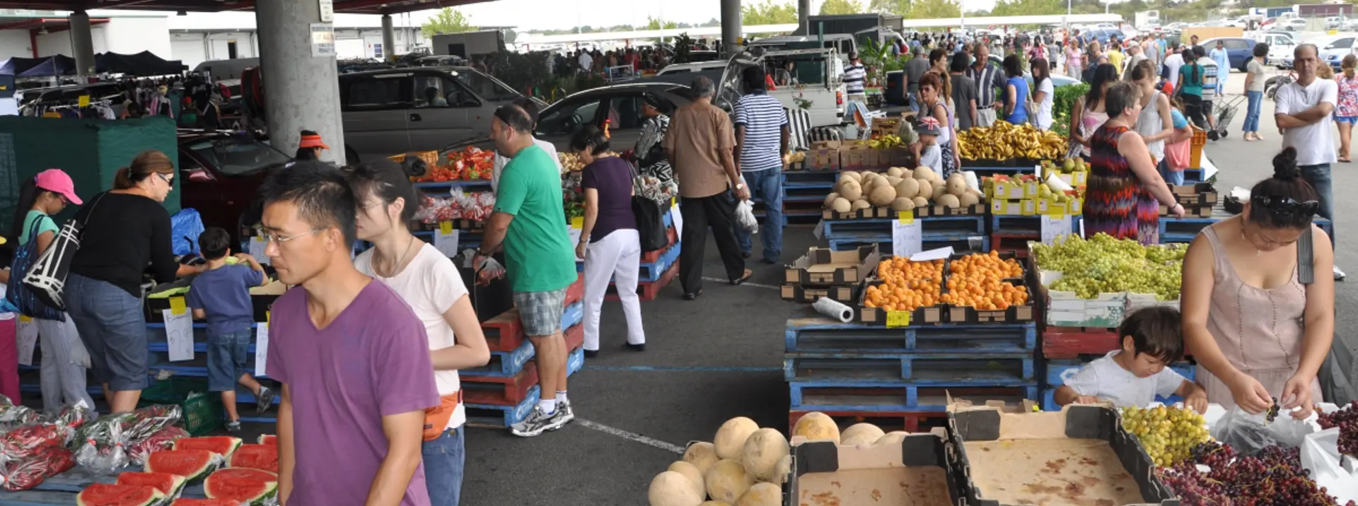 Perth Farmers Market Guide