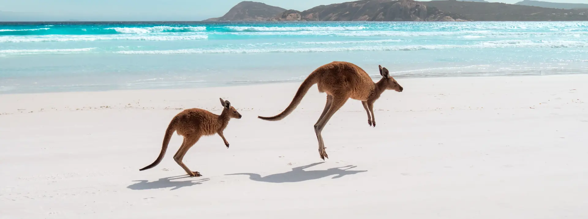 Lucky Bay, Esperance