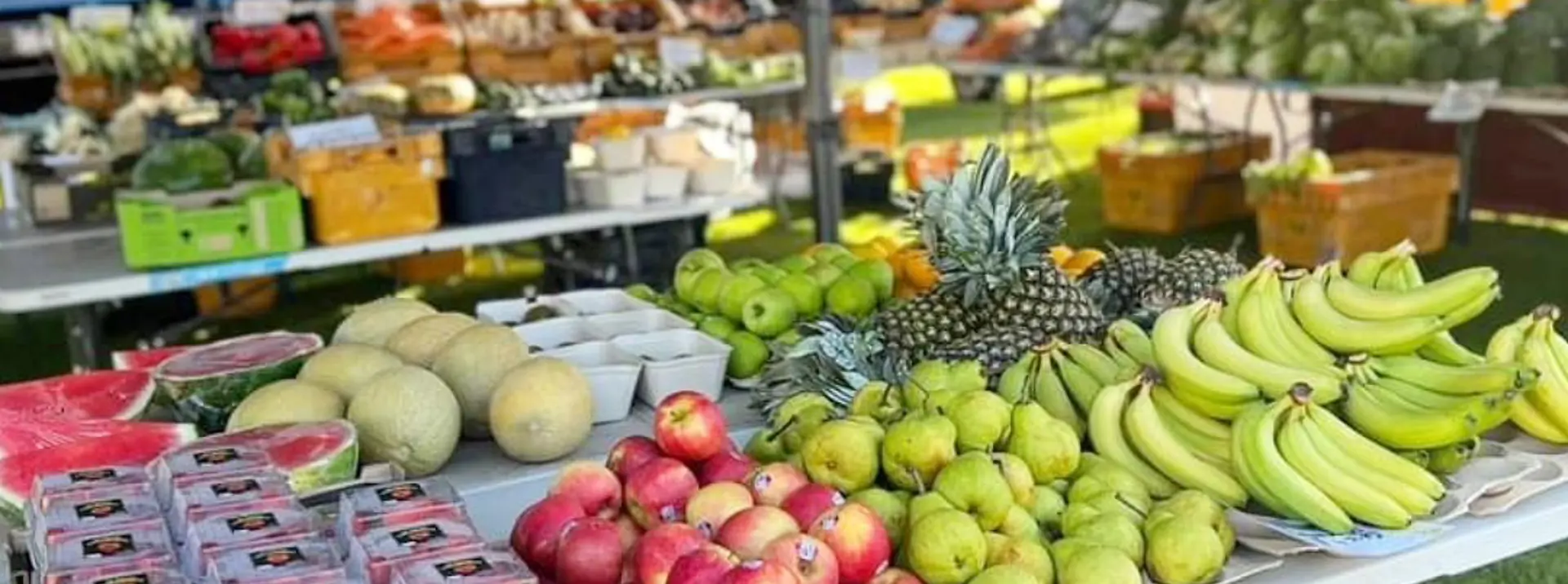 Perth Farmers Market Guide