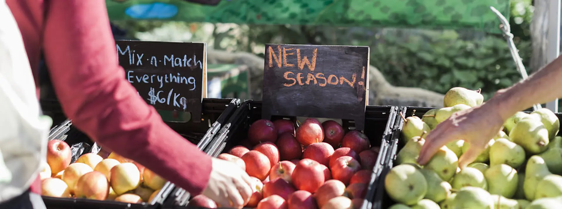 Perth Farmers Market Guide