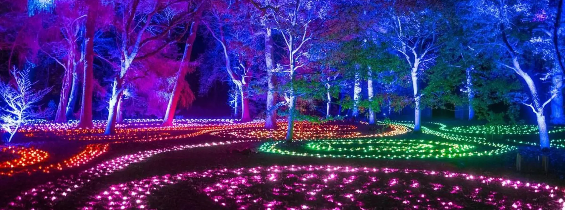 10 Fun Things to Do in Perth This Winter (2025)